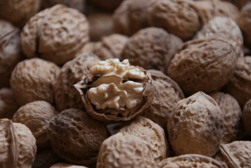 寒露养生正当时，八种谷物种子助您蓄能过冬