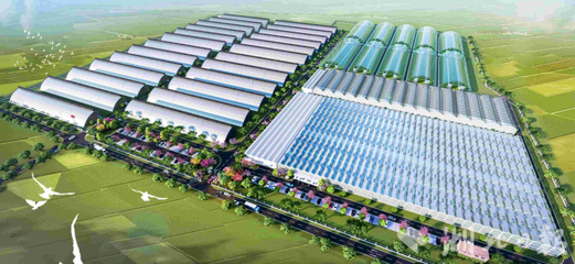 武汉蔡甸侏儒山街道 聚焦市级标杆工程，以粮油仓储服务激活发展新动能