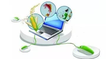 从一粒种子到亿万饭碗 农业信息化如何革新粮油仓储服务