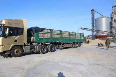 北大荒集团洪河农场延伸经济“增长点” 跑出统营“加速度” 粮油仓储服务决胜市场