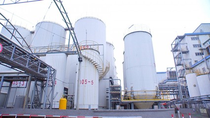 泰州口岸上半年大豆进口量领跑全省，粮油仓储服务持续优化