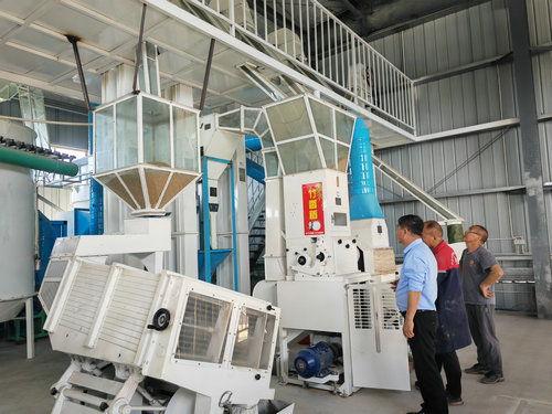 乡村振兴 供销先行 泸县方洞镇供销合作社搭建增收致富直通车