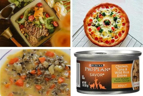 菰米 我国最早的谷类作物之一